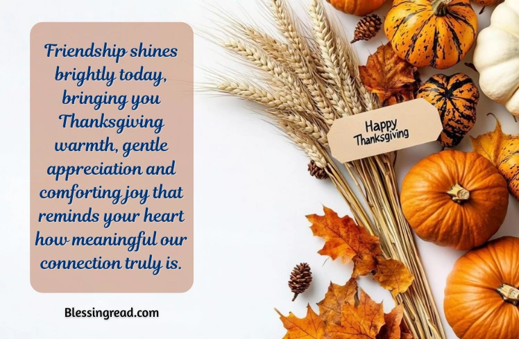 Thanksgiving Blessings to Friends